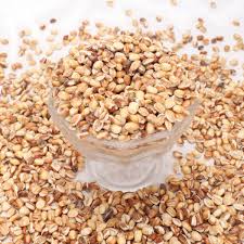 Jau Dhani – Roasted Barley Snack | Traditional Healthy Crunchy Treat