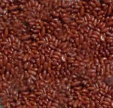 Chocolate Saunf – Sweet & Crunchy Chocolate Coated Fennel Seeds