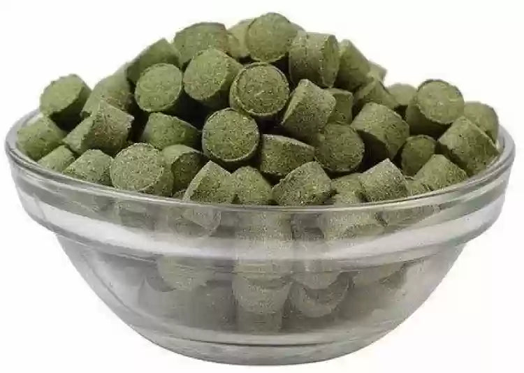 Pudina Vati Candy – Refreshing Ayurvedic Mouth Freshener with Real Mint & Herbs 150gm